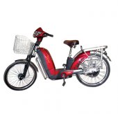 2011 Hero Electric Zippy photo